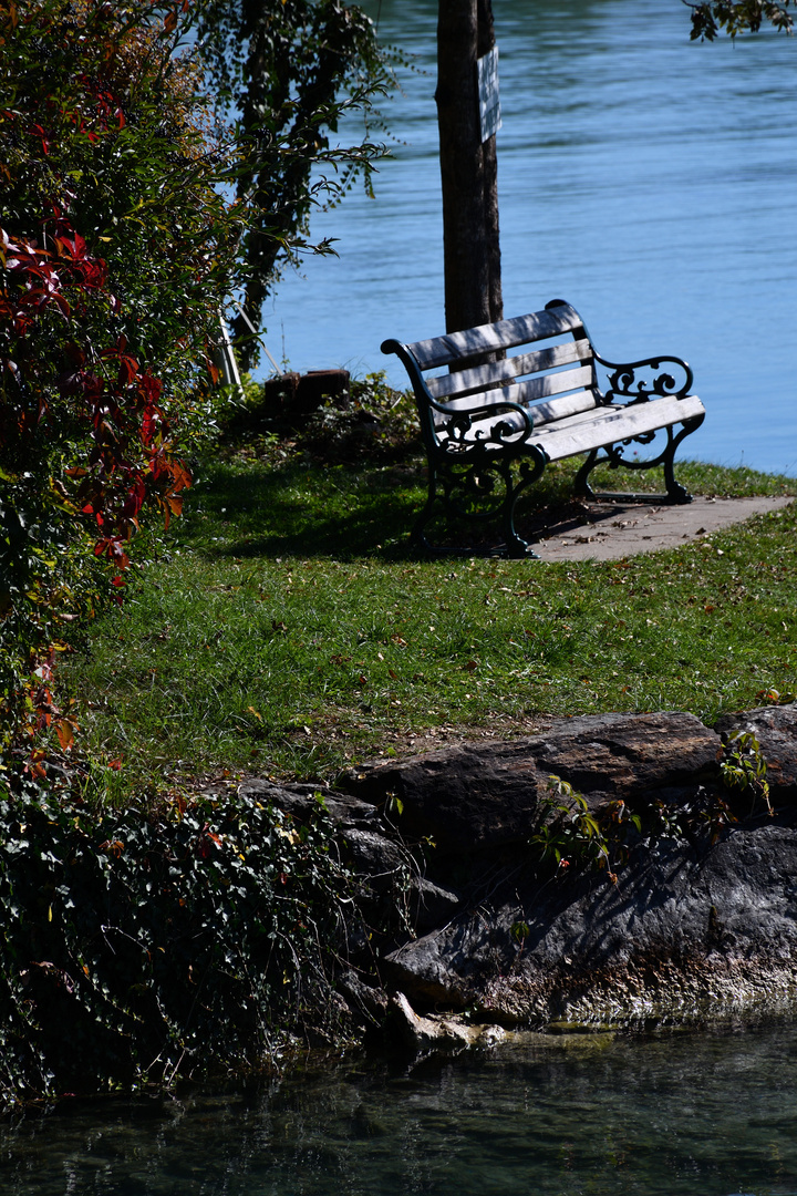 Ruheplatz am See