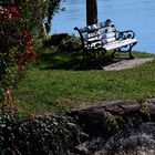 Ruheplatz am See