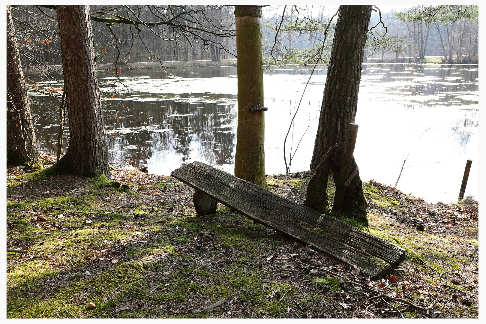 Ruheplatz am Wasser