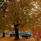 Ruheplatz auf der Kleinen Kalmit