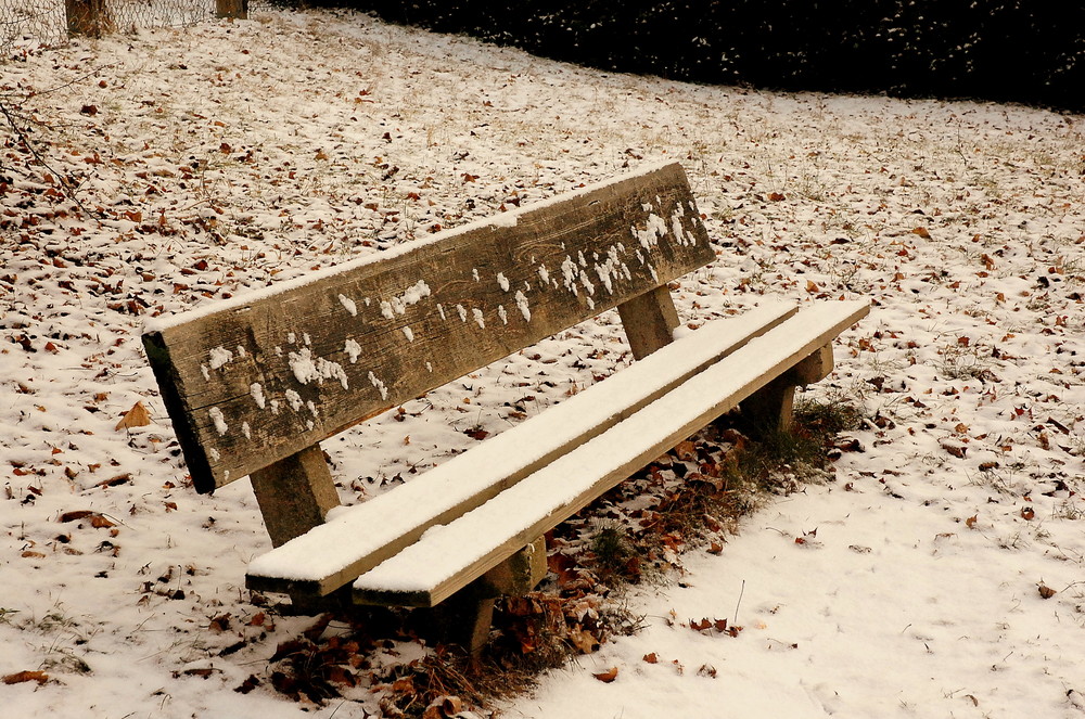 Ruheplatz für Mutige