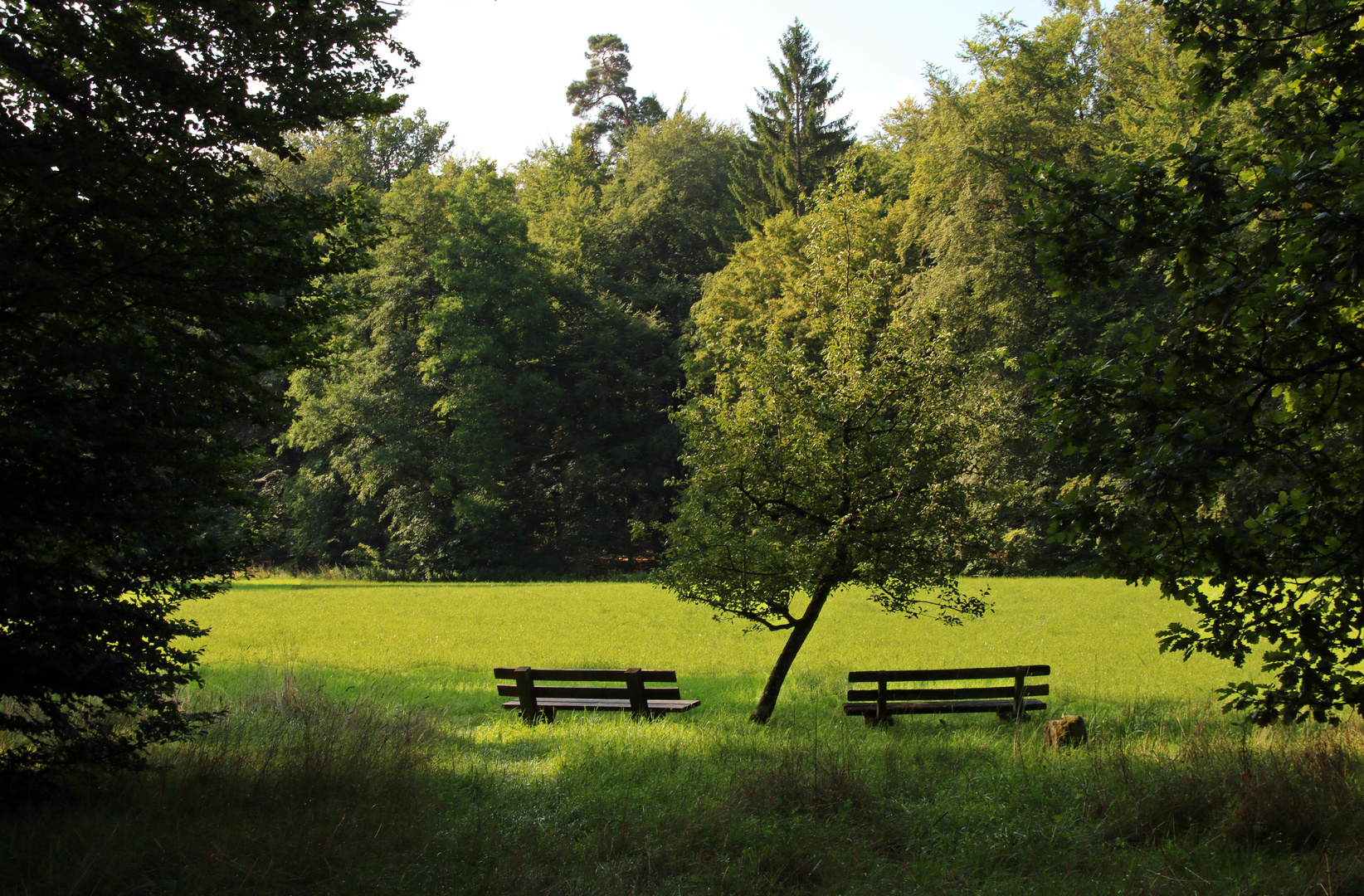 Ruheplatz im Grünen