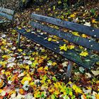 Ruheplatz im Herbst