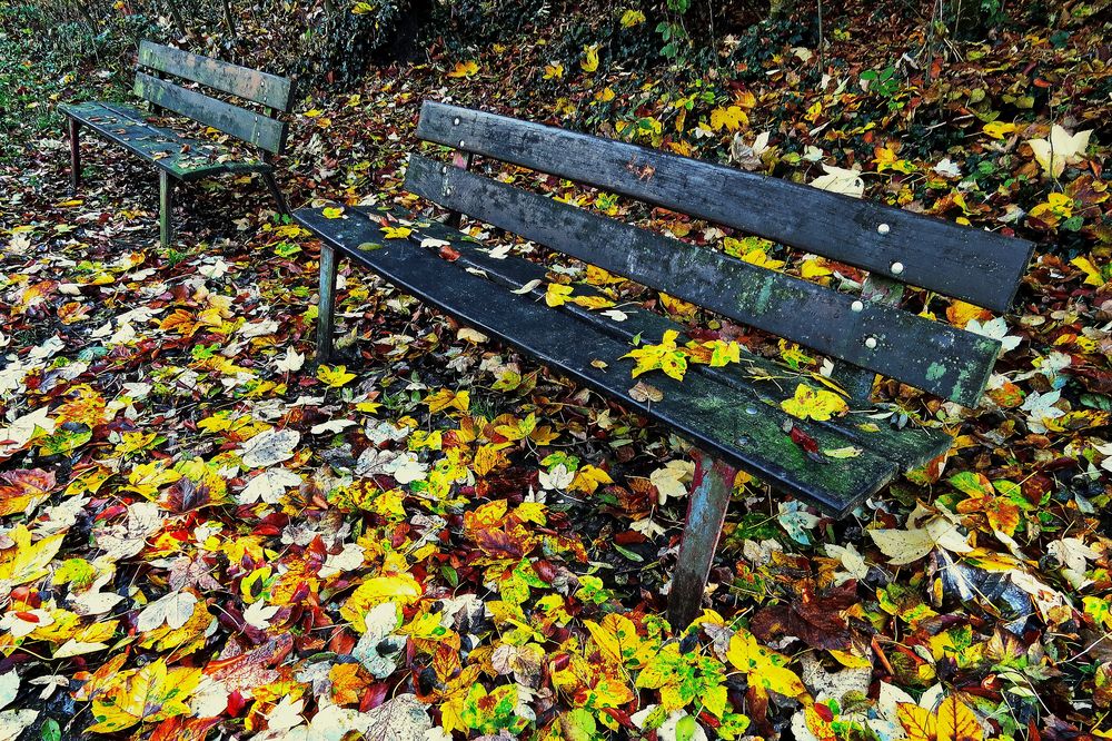 Ruheplatz im Herbst