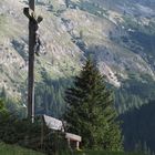 Ruheplatz im Langental