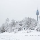 Ruheplatz im Winter 