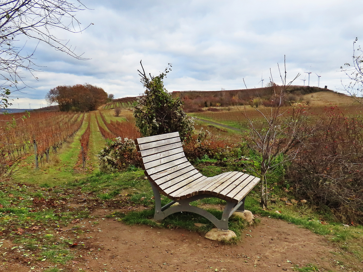 Ruheplatz in den Weinbergen