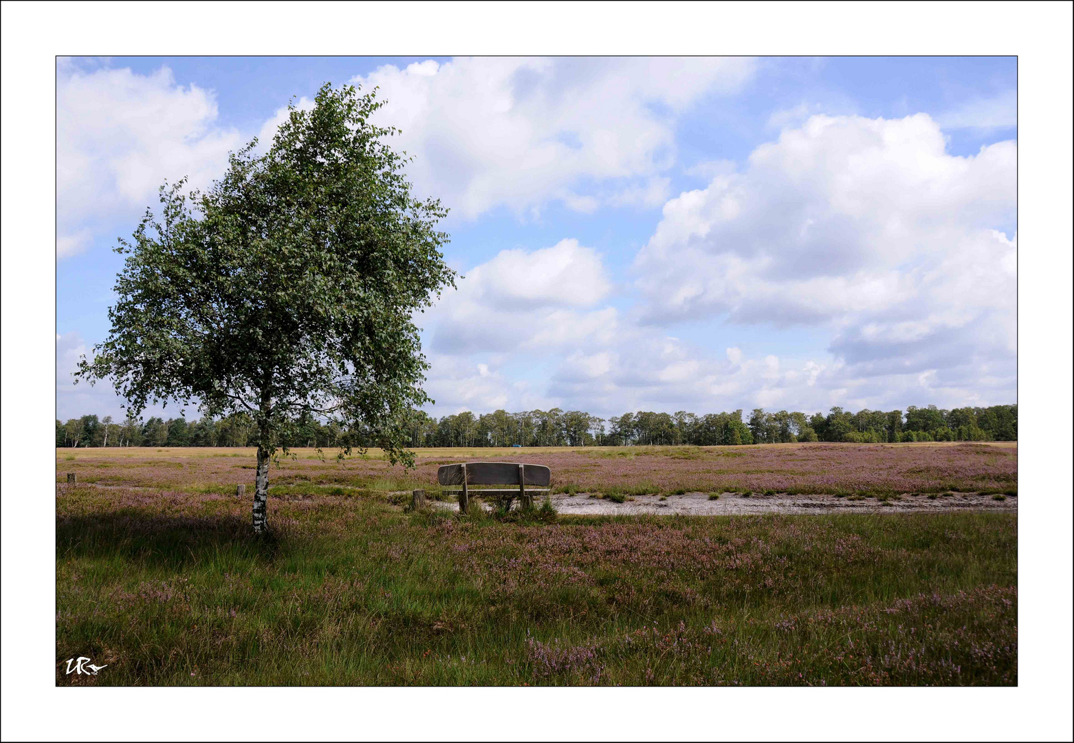 Ruheplatz in der Heide