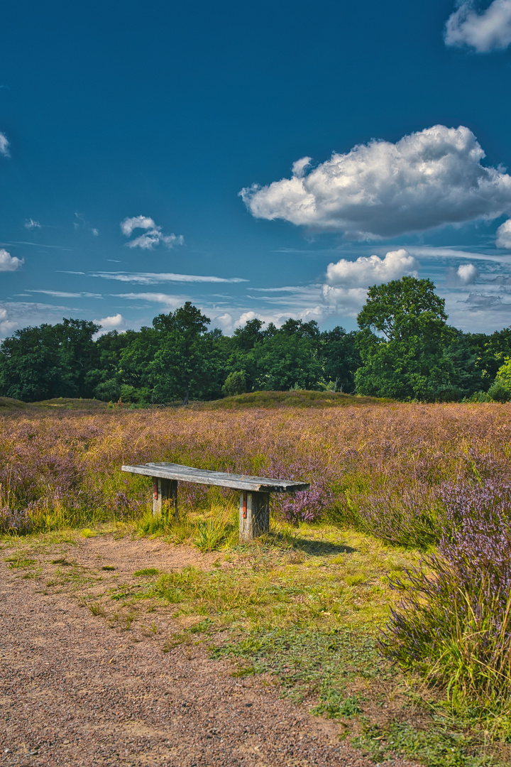 Ruheplatz in der Heide