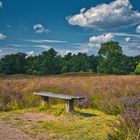 Ruheplatz in der Heide