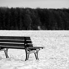 Ruheplatz in der Wintersonne