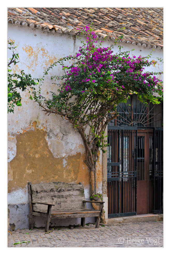 Ruheplatz in Faro