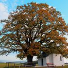 Ruheplatz mit Kapelle