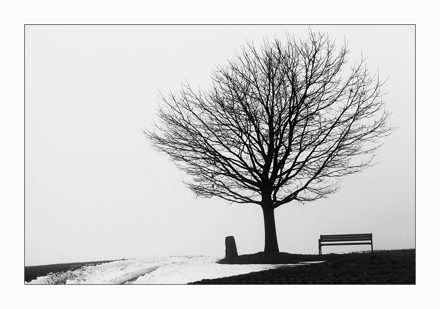 Ruheplatz - Spaziergang mit Hund I