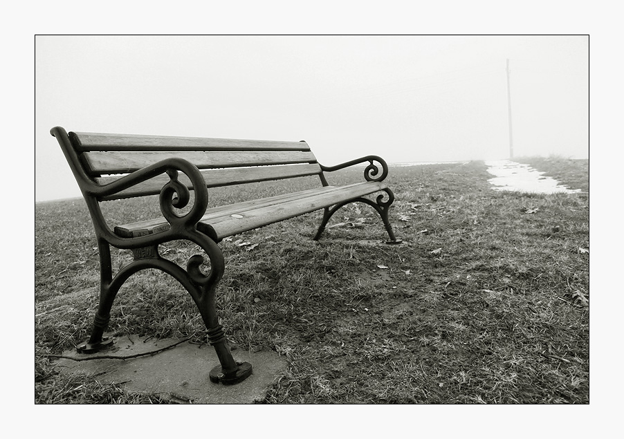 Ruheplatz - Spaziergang mit Hund VI