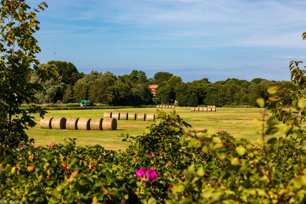 Ruhepunkt Hiddensee (3)