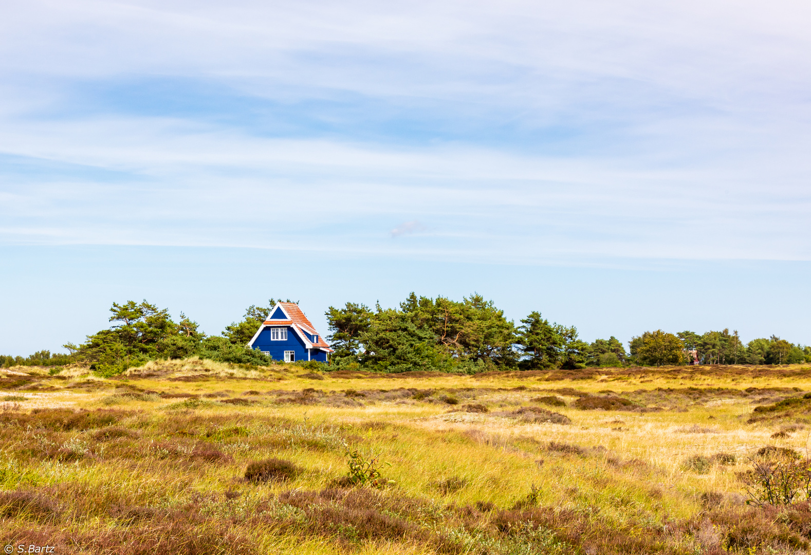 Ruhepunkt Hiddensee -Sommerträume (10)