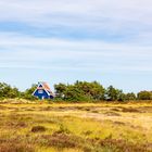 Ruhepunkt Hiddensee -Sommerträume (10)