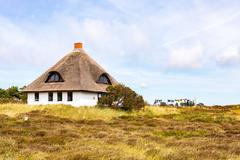 Ruhepunkt Hiddensee -Sommerträume (6)