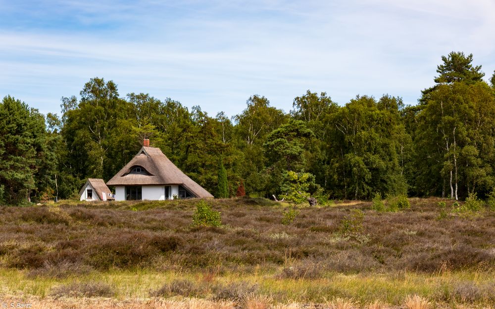 Ruhepunkt Hiddensee -Sommerträume (9)