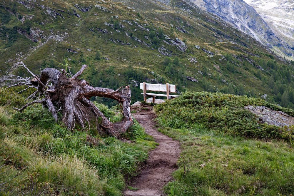 Ruhepunkte am Wegesrand - Panoramaweg in Pfelders - Südtirol