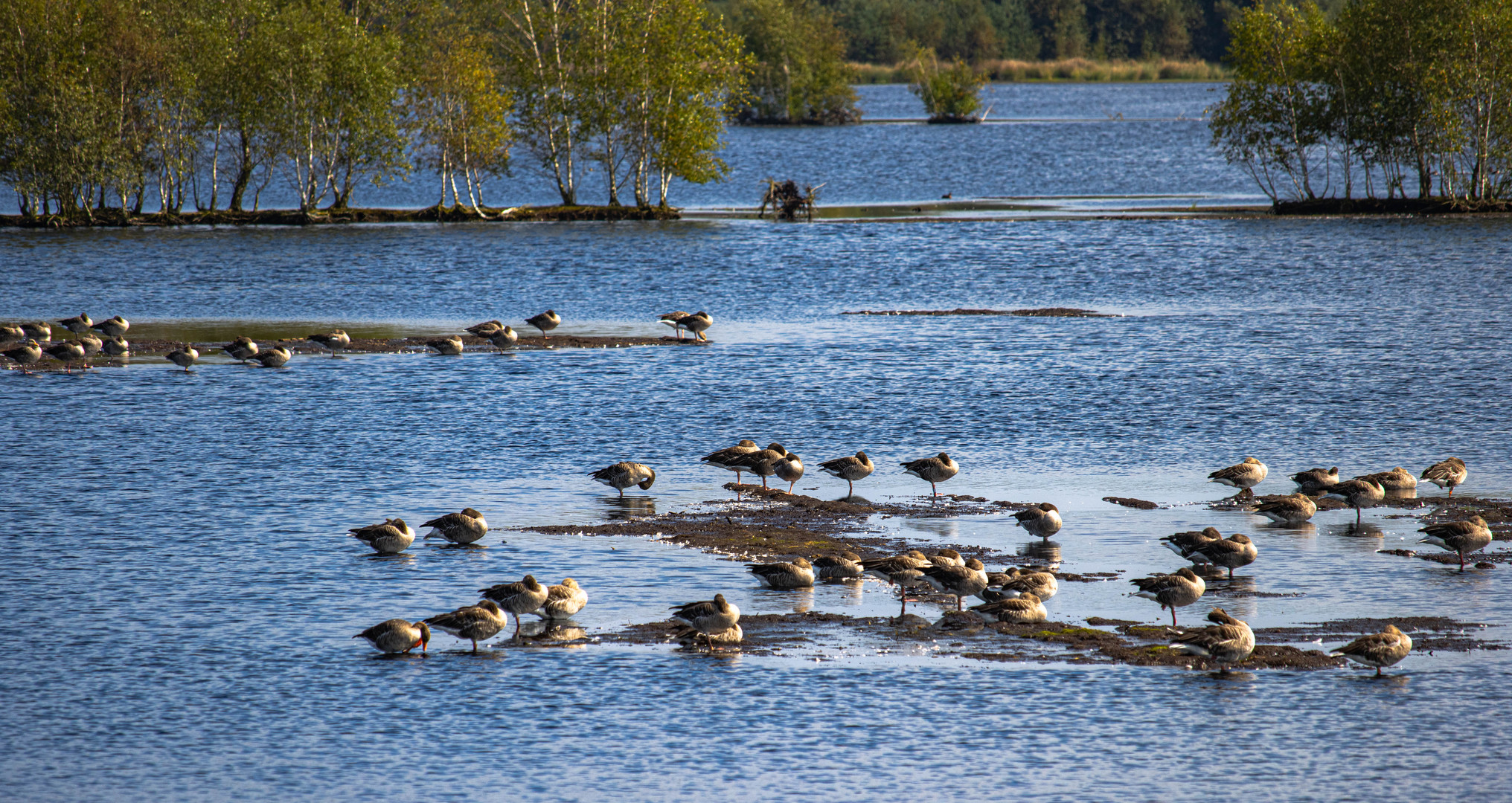 Ruhestätte