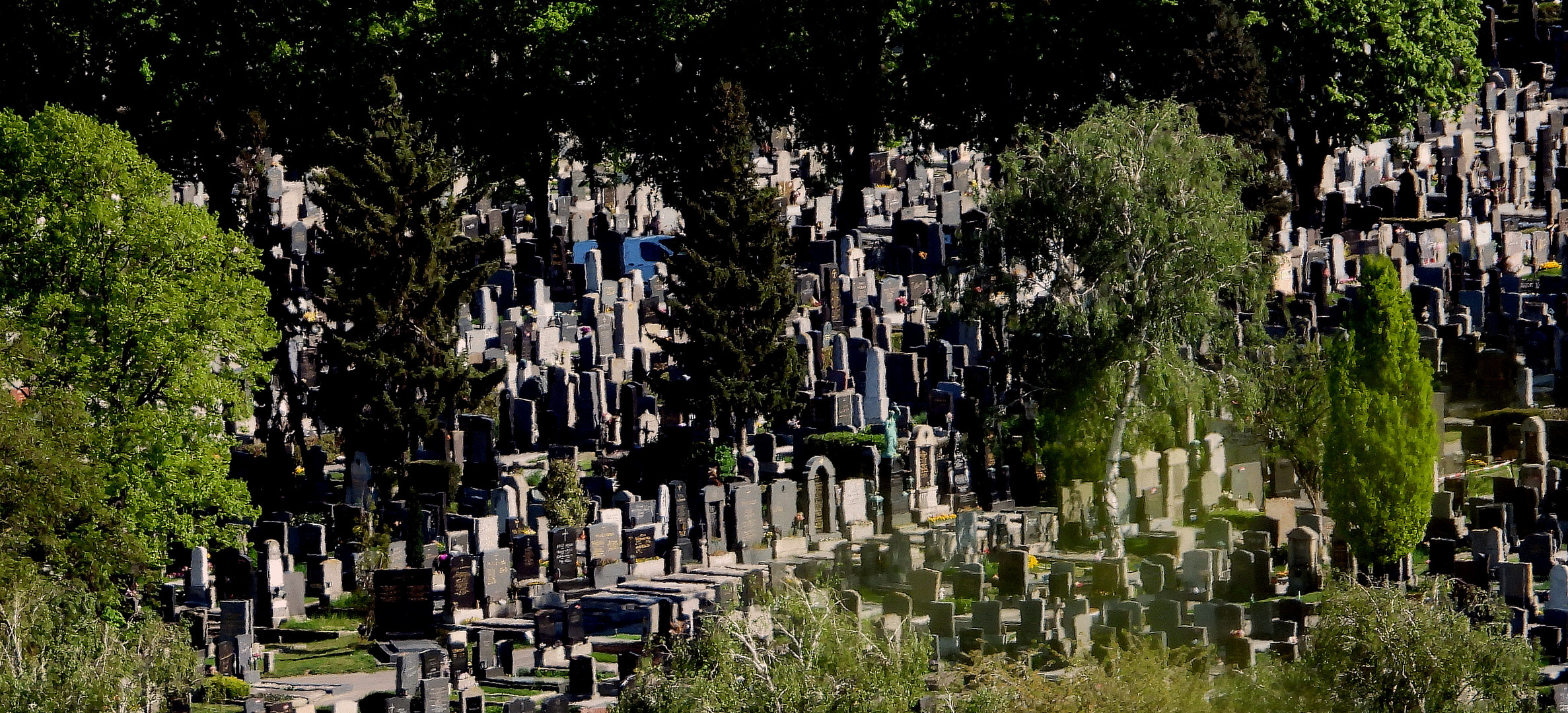 Ruhet in Frieden. Ottakringer Friedhof vom Wilhelminenberg