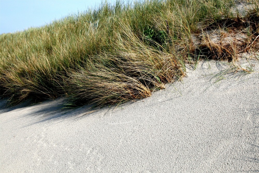 Ruhezone auf Borkum