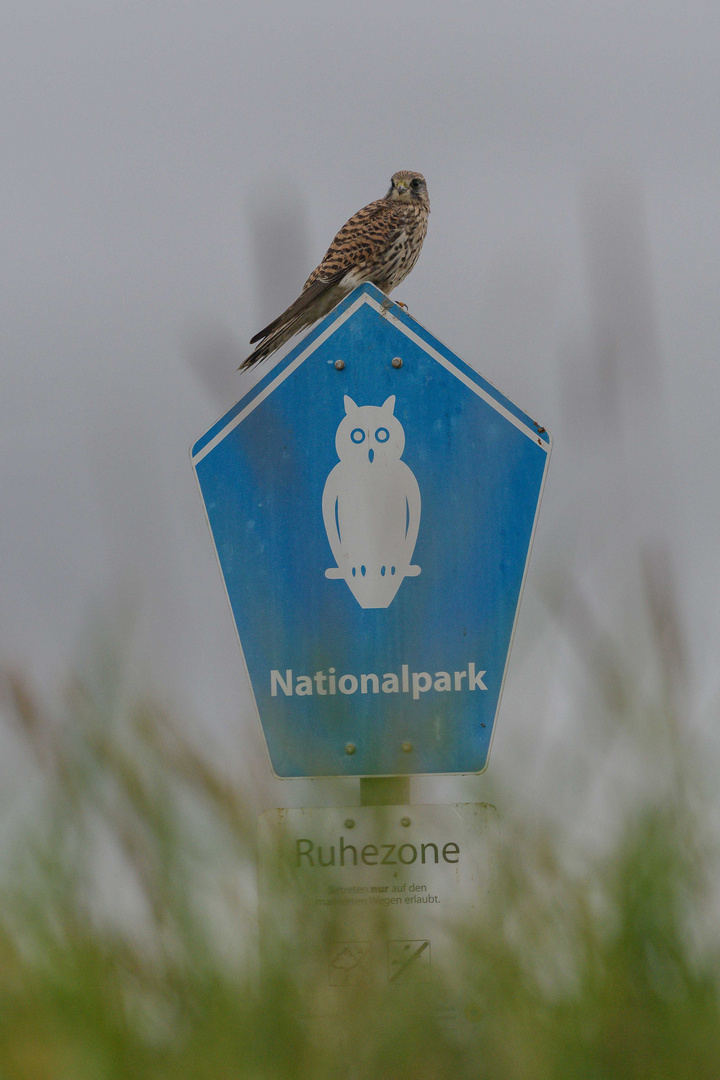 Ruhezone, bitte nicht stören