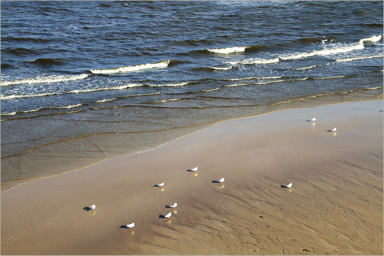 Ruhezone ... in Heringsdorf auf Usedom