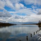 Ruhig ist es im Vogelparadies Unterer Inn