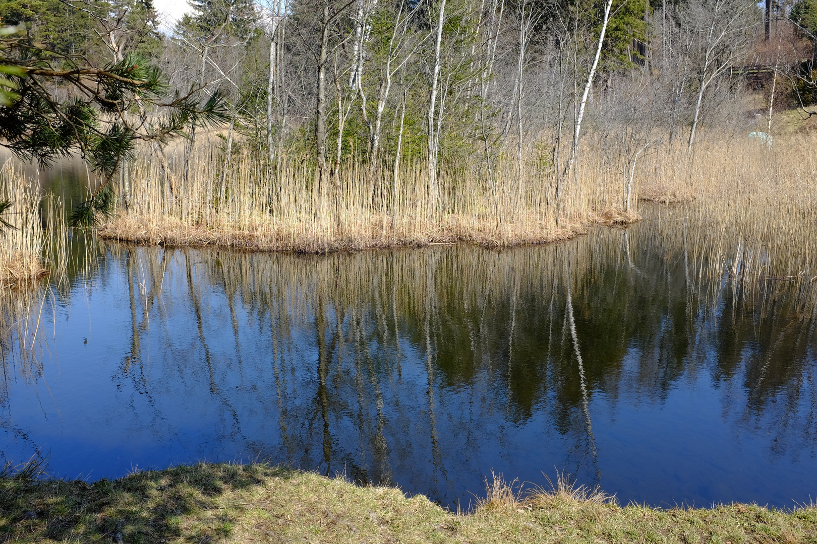 ruhig liegt der See