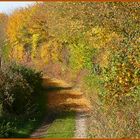 Ruhig schöner Wanderweg in der Eifel