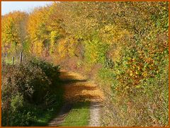 Ruhig schöner Wanderweg in der Eifel