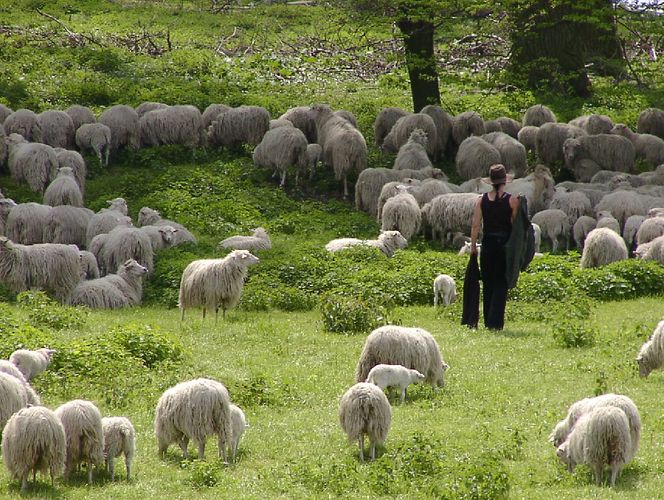 ruhig und ausgeglichen