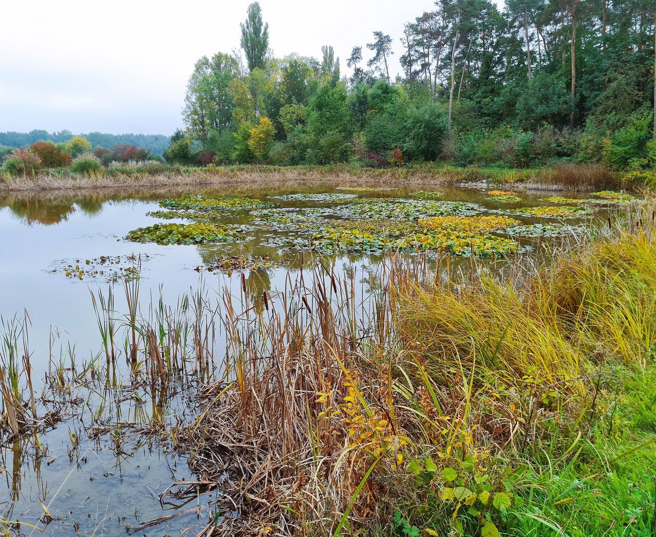 ruhig und friedlich liegt der See