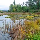 ruhig und friedlich liegt der See