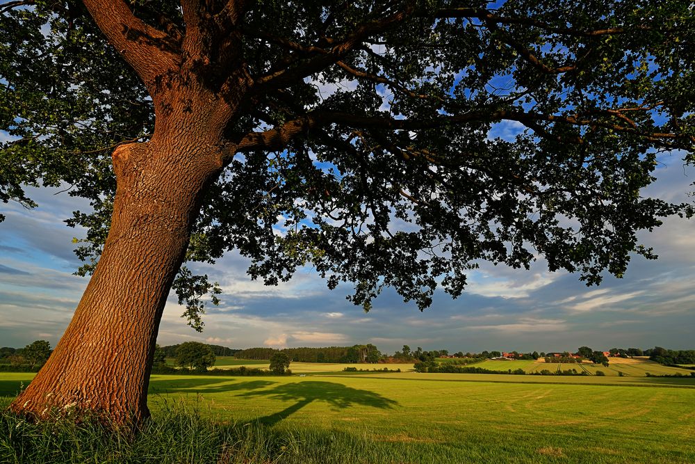 Ruhige Abendlandschaft