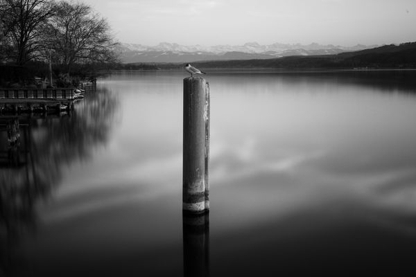 ruhige Abendstunde am See II