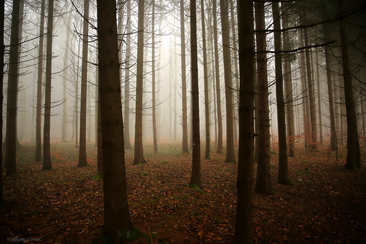 Ruhige Herbstzeit