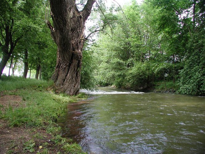 Ruhige Landschaft