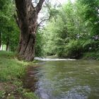 Ruhige Landschaft