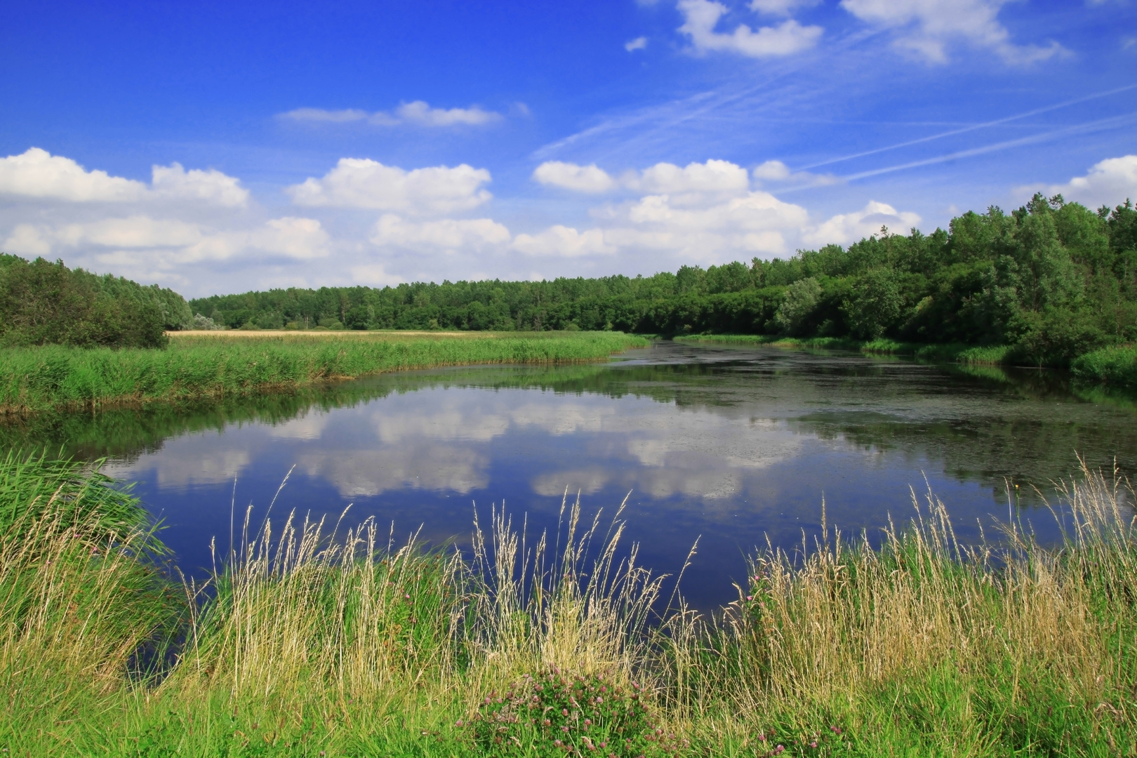 Ruhige Landschaft