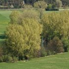 ruhige (liebliche?) Flußlandschaft am Rand von Nürnberg/Fürth