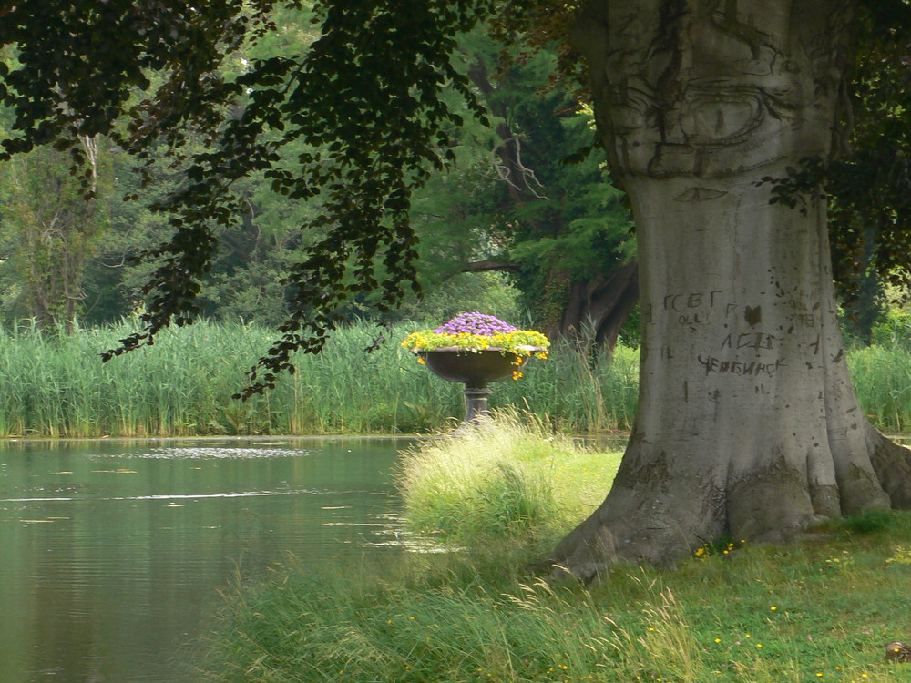 Ruhige Parklandschaft in Potsdam