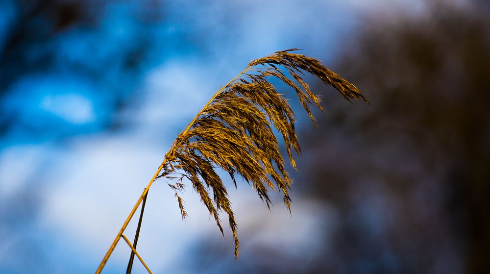 Ruhige Winterstimmung