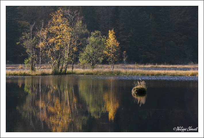 Ruhiger Augenblick im Hochmoor