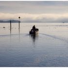 Ruhiger Herbsttag am Bodensee