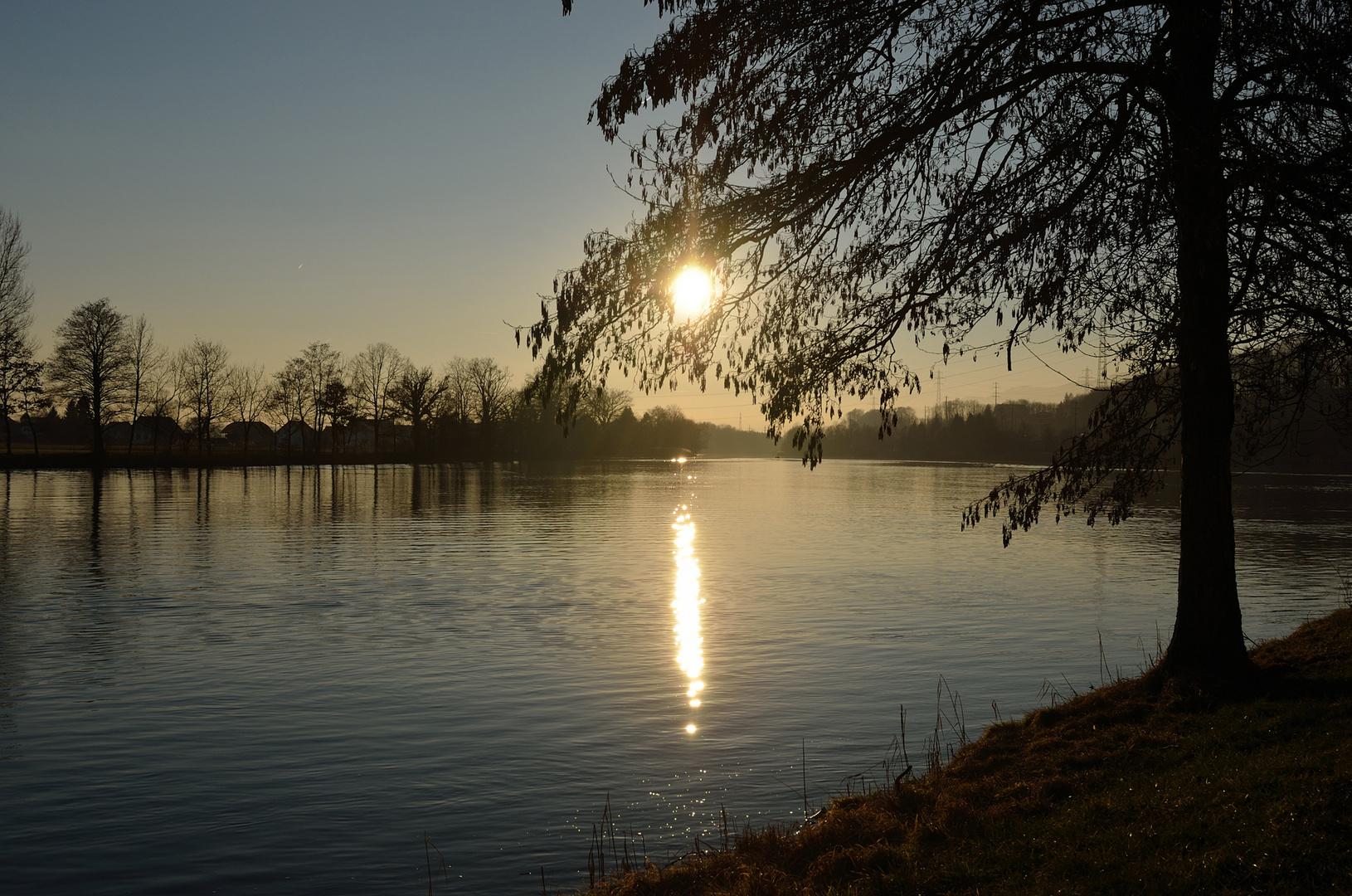 Ruhiger Lauf der Aare bei Wangen Kt. SO