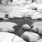 Ruhiger Lauf im Winter